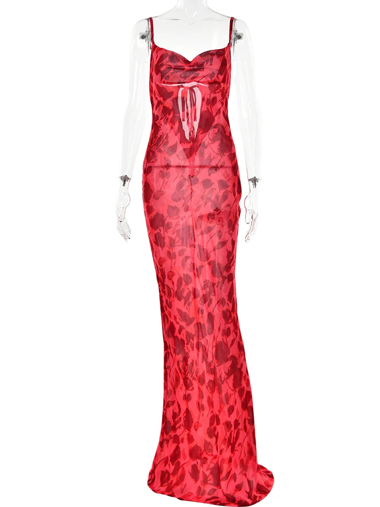 49220556325150|49220556357918|49220556521758|49220556554526