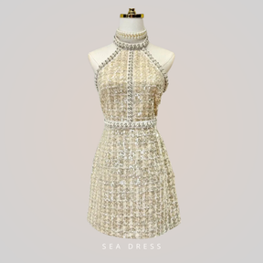 Vestido Mini Sem Mangas de Tweed Pequeno – Vestido de Noite Elegante e Luxuoso com Pérolas e Lantejoulas